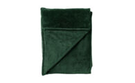 RG-DDL0911102353_ Plaid Billy groen 150x200 cm