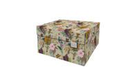 DB-DDSB. Botanical_ Dutch Design doos classic
