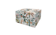 DB-DDSB.DragonFly_ Dutch Design doos classic