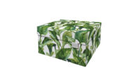 DB-DDSB. GreenLeaves_ Dutch Design doos classic