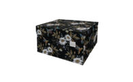 DB-DDSB.1044 Hummingb_ Dutch Design doos classic