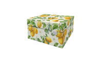 DB-DDSB.1053 Lemon_ Dutch Design doos classic