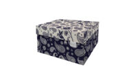 DB-DDSB. Paisly_ Dutch Design doos classic