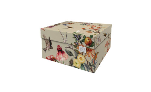 DB-DDSB.1010 Spring Dutch Design doos classic hoofd