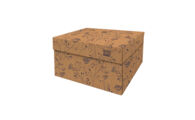 DB-DDSBHeracleum_ Dutch Design doos