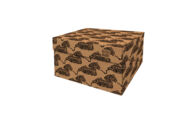 DB-DDSB Tiger_ Dutch Design doos