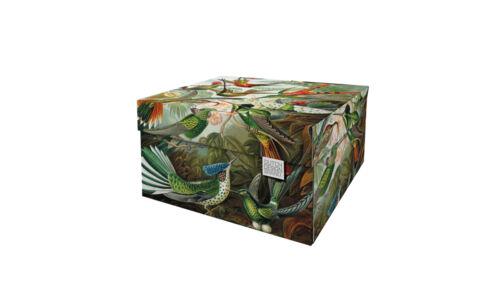 DB-DDSBM.1010 ArtON Dutch Design doos medium hoofd