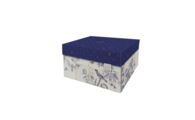 DB-DDSBM.1041 RoyalDM_ Dutch Design doos medium