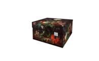 DB-DDSBM.1018 Flowers_ Dutch Design doos small