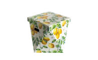 DB-DDBA.1005 Lemon_ Dutch Design opbergdoos