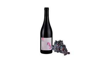 AN-BM0721_ Merlot IGP Pays d'OC.jpg