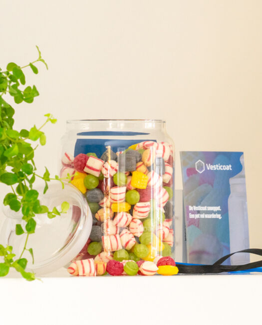 Overzichtfoto Vesticoat.jpg