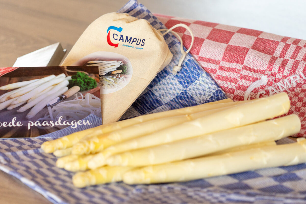 afbeelding groot campus.jpg