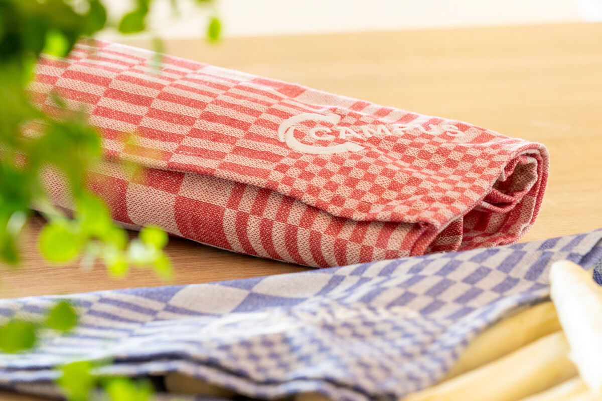 afbeelding groot campus 3.jpg