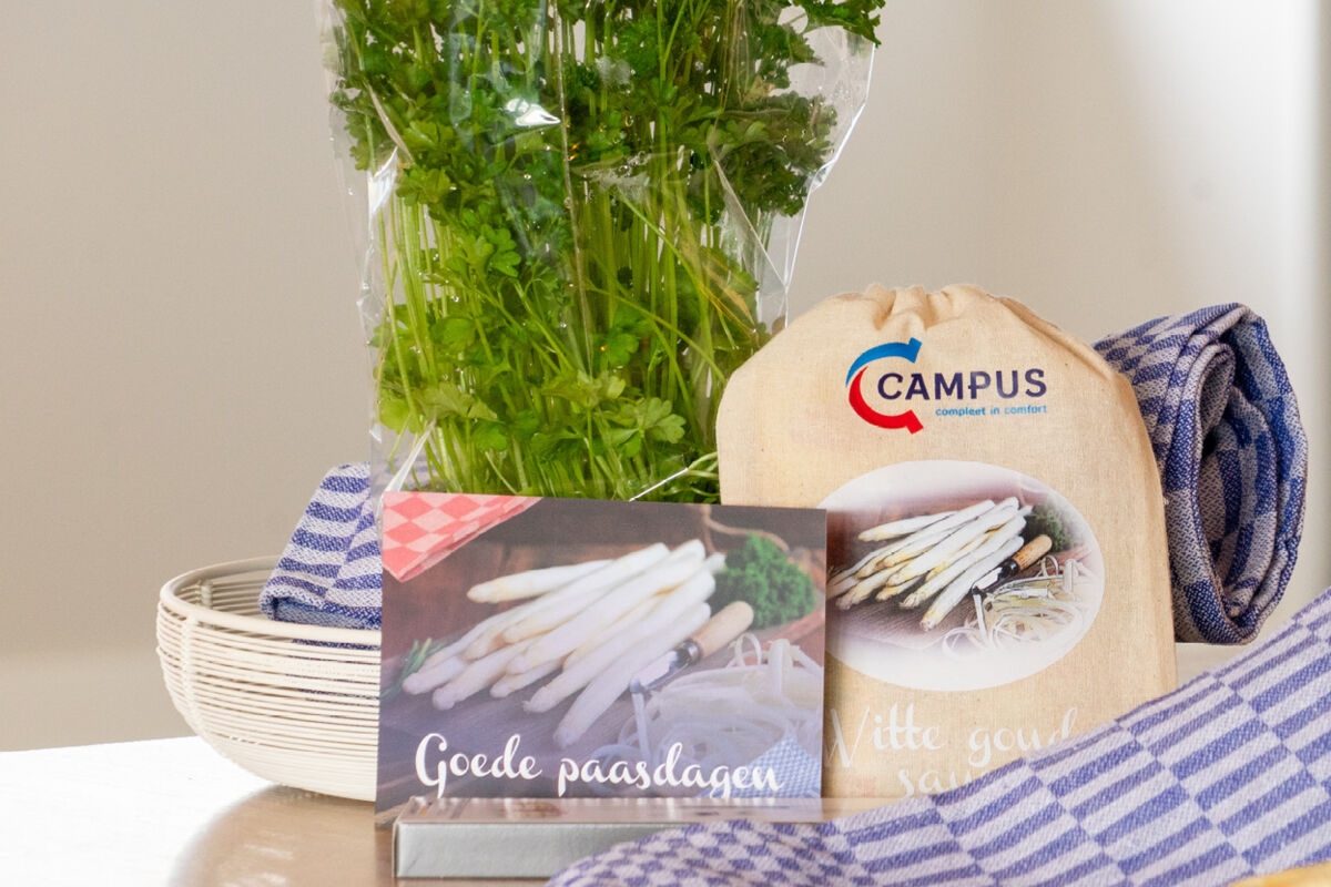 afbeelding groot campus 4.jpg