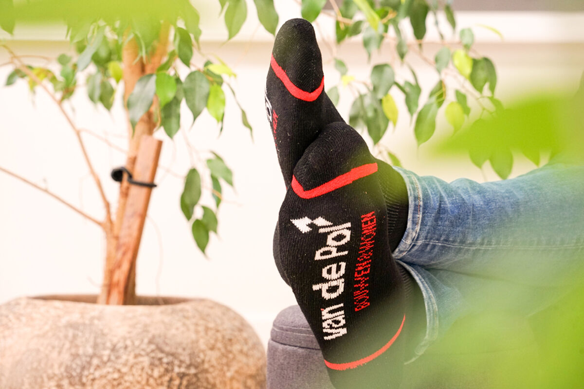 afbeelding groot van de pol.jpg