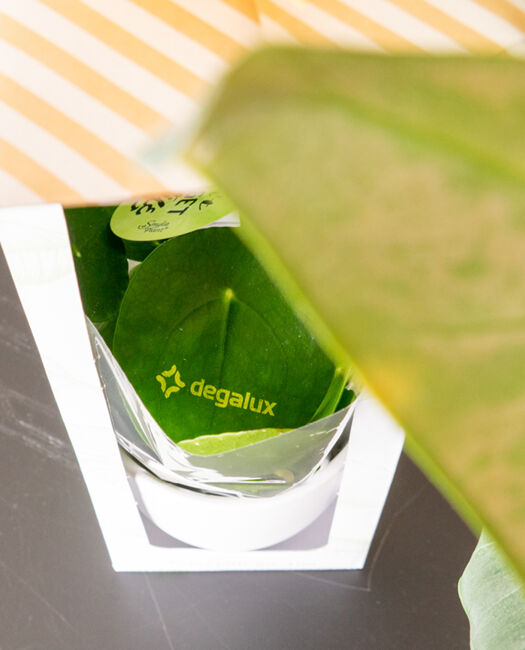 Slider 2 degalux.jpg