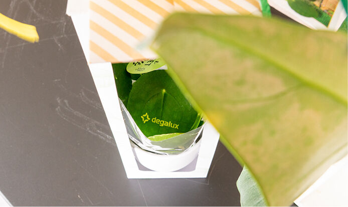 kleine afbeelding degalux 2