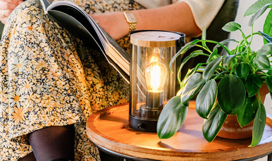 kleine afbeelding edison lamp