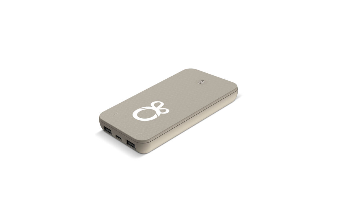 TP-45102 Powerbank 10000 mAh HOOFD