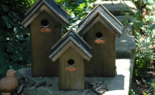 ED-NK01 Nestkast koolmees bitumen dak SFEER