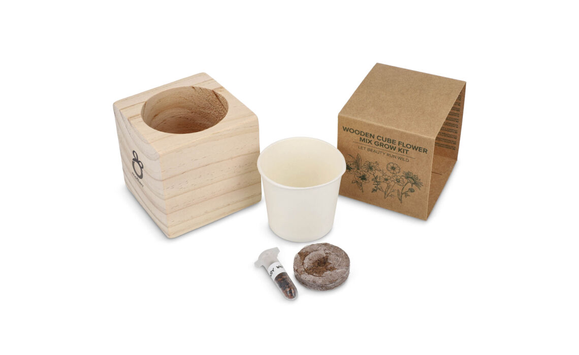 TP-LT94577-Houten Kubus met zaadjes HOOFD