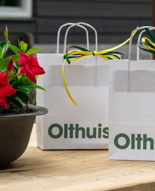 slider olthuis tasje zomerpakket.jpg