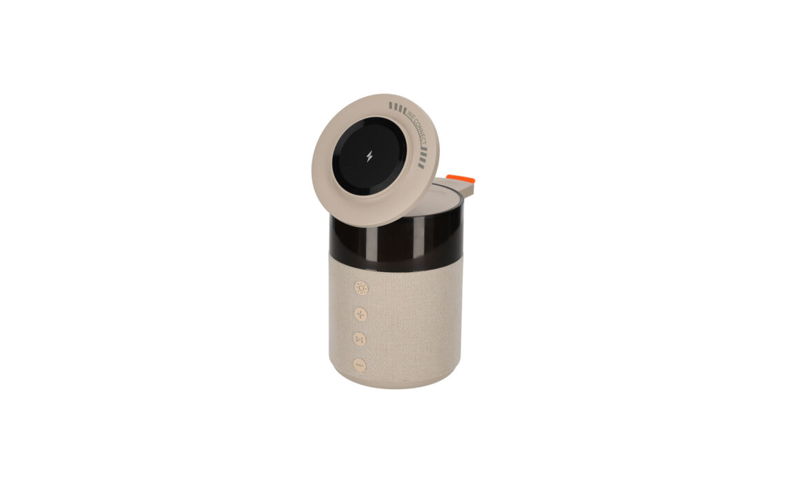TG-38563-Brainz Speaker 2