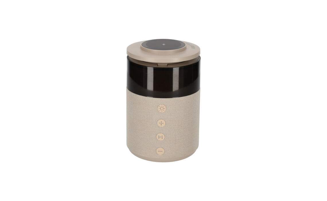 TG-38563-Brainz Speaker HOOFD