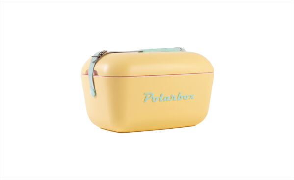 XD-RBPLB12Y- Vintage koelbox klein HOOFD