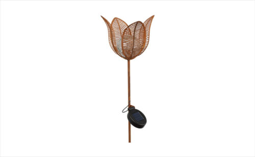 DS-829213_ Solar tulp roest