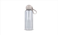 TP-LT52056 taupe_ Sagaform Ture waterfles 600 ml transparant taupe