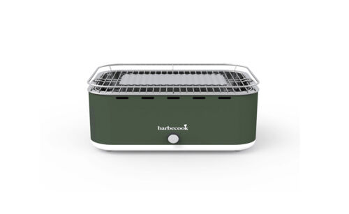 LI-BC-CHA1018_ Houtskool barbecook groen