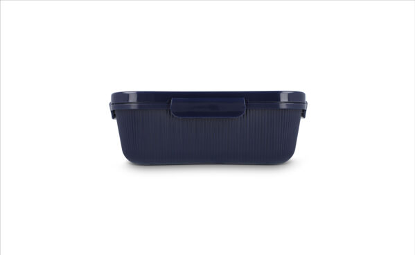 TP- LT52060- Sagaform Lunch box Tina 1