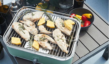 BBQ en accesoires