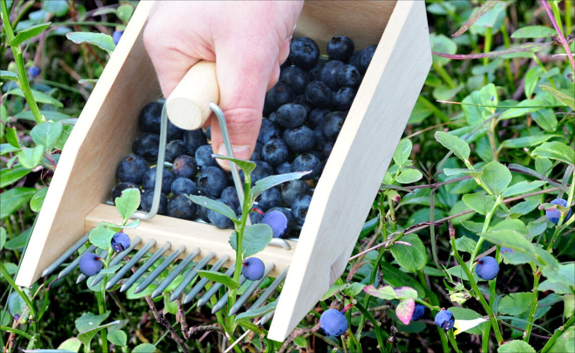 Bessenplukker ED-GT114