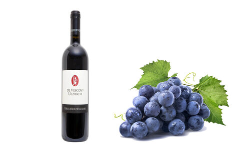 WS-Teroldego-Rotaliano-DOC-Classico-2015_ Rode wijn, Teroldego Rotaliano DOC 
