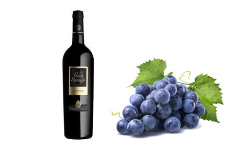 WS-Salento-I.G.T.-Primitivo-Tacco-Barocco-2016_ Rode wijn, Salento I.G.T. Primitivo