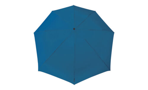 mini blue 2