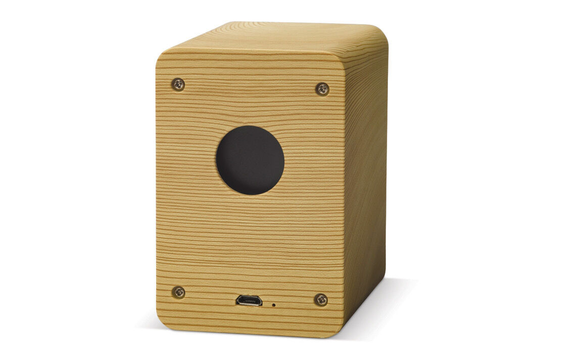 Speaker hout achterkant