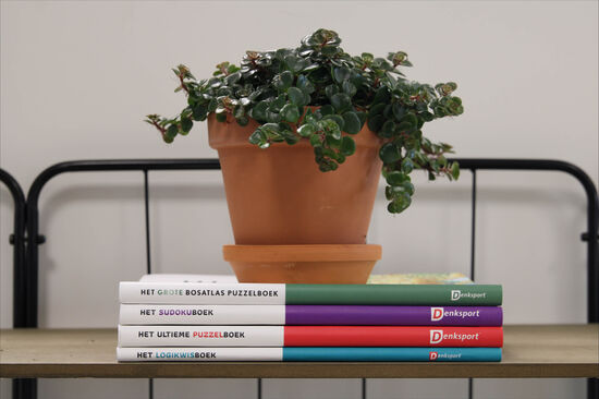 Puzzelboeken 800 x 533 1