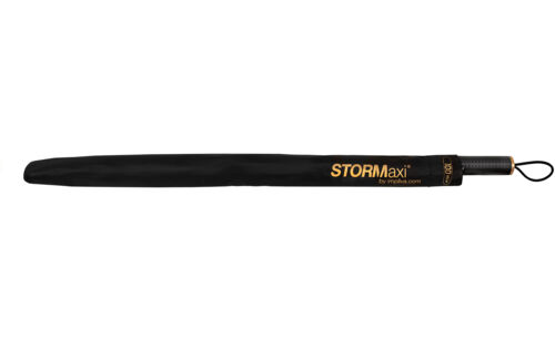 Stormaxi goud detail 1