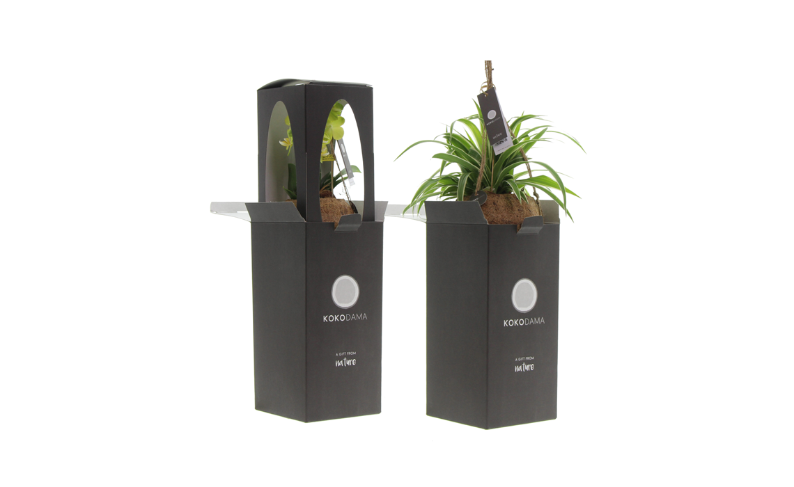 PO-Kokodama plant verpakking