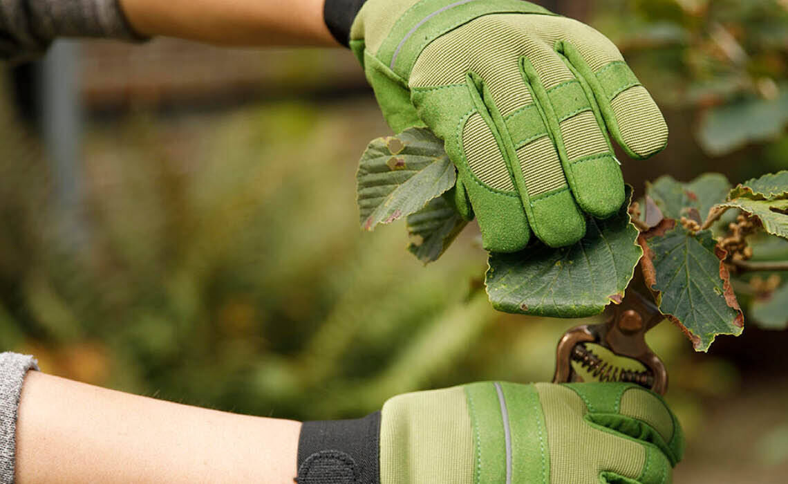 ED-JB017 Tuinhandschoenen.jpg
