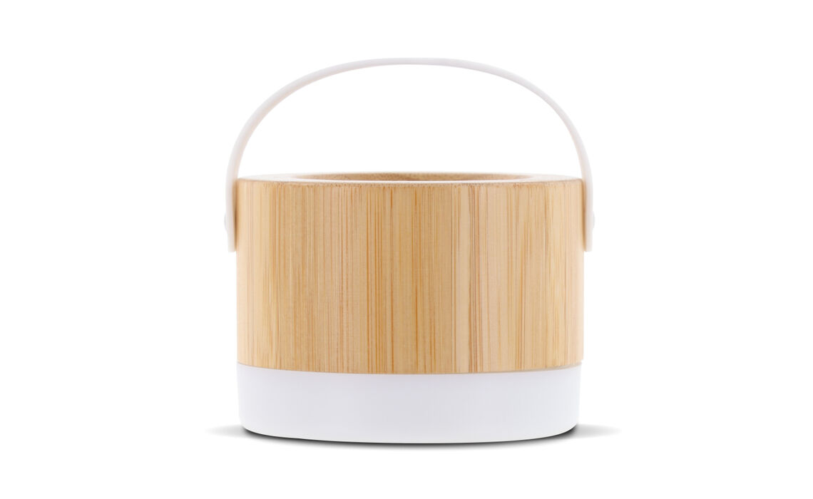 TP-LT95019_Draadloze Speaker Bamboe 1