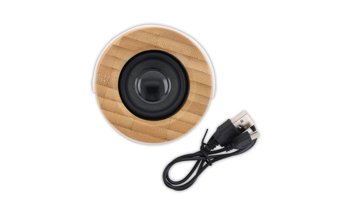 TP-LT95019_Draadloze Speaker Bamboe 4