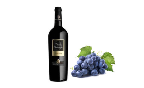 AN-SP0221_ Rode wijn, Primitivo Tacco Barocco Sampietrana 2021