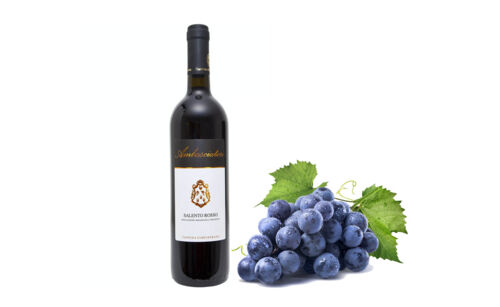 AN-SP0119_ Rode wijn, Salento I.G.T. Rosso Ambasciatori 2019