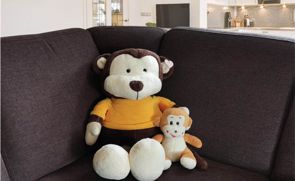 PT-56-0502627 Knuffel aap sfeer