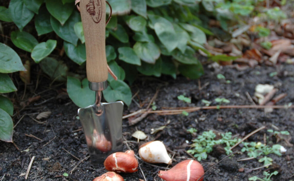 Sfeer foto schepje.jpg